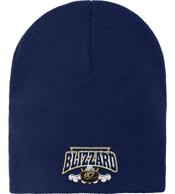 Blizzard Knit Skull Cap