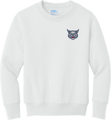 CT Bobcats Youth Core Fleece Crewneck Sweatshirt